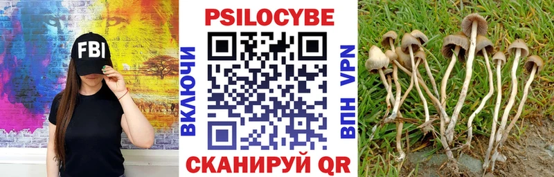 Галлюциногенные грибы GOLDEN TEACHER  где найти наркотики  Неман 